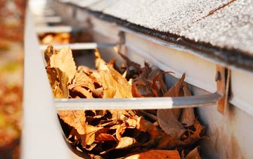 Ruxley gutter cleaning companies