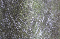 Ruxley fibreglass roof work